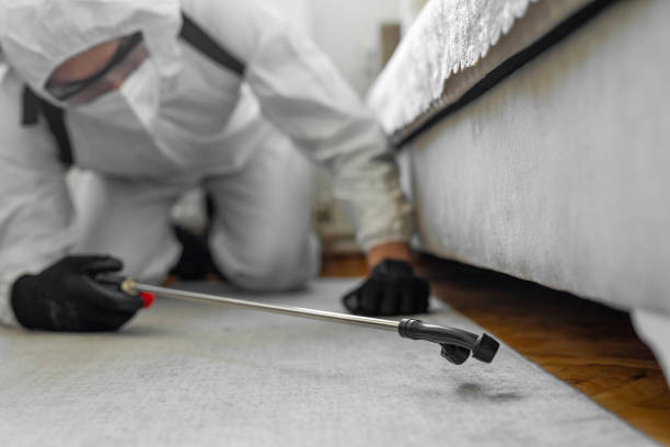 Professional Bed Bug Control technician working in Denham Springs, LA