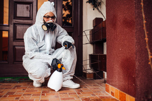 Reliable Bed Bug Control contractor in Denham Springs, LA by Nex Pest Control