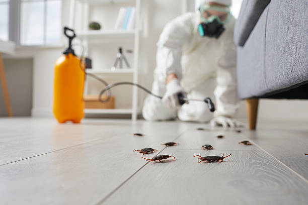 Trusted Fumigation Services service in Denham Springs, LA - Nex Pest Control