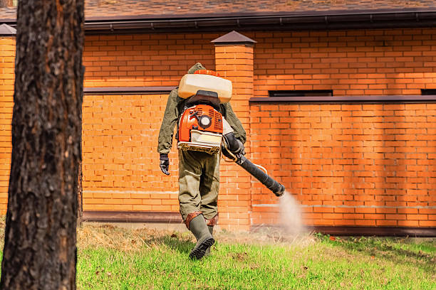 Trusted Bed Bug Control service in Denham Springs, LA - Nex Pest Control
